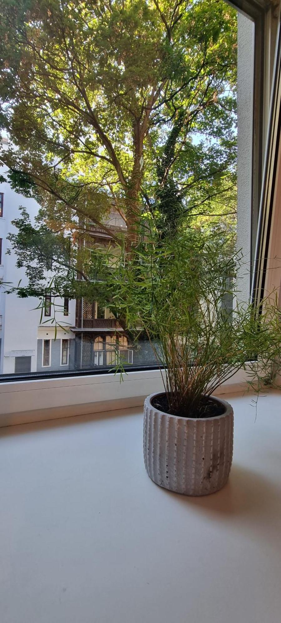 Vienna My City Apartment 1 Bedroom Bagian luar foto